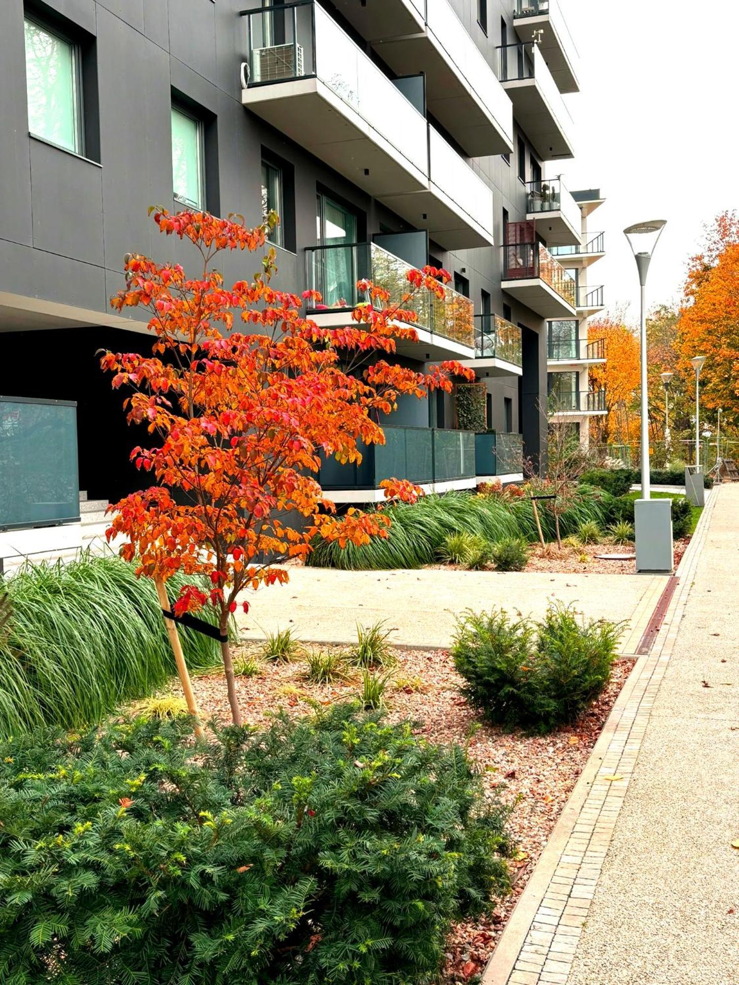 Prime Time Apartament - 24H Check -In - Parking W Cenie Вроцлав Экстерьер фото