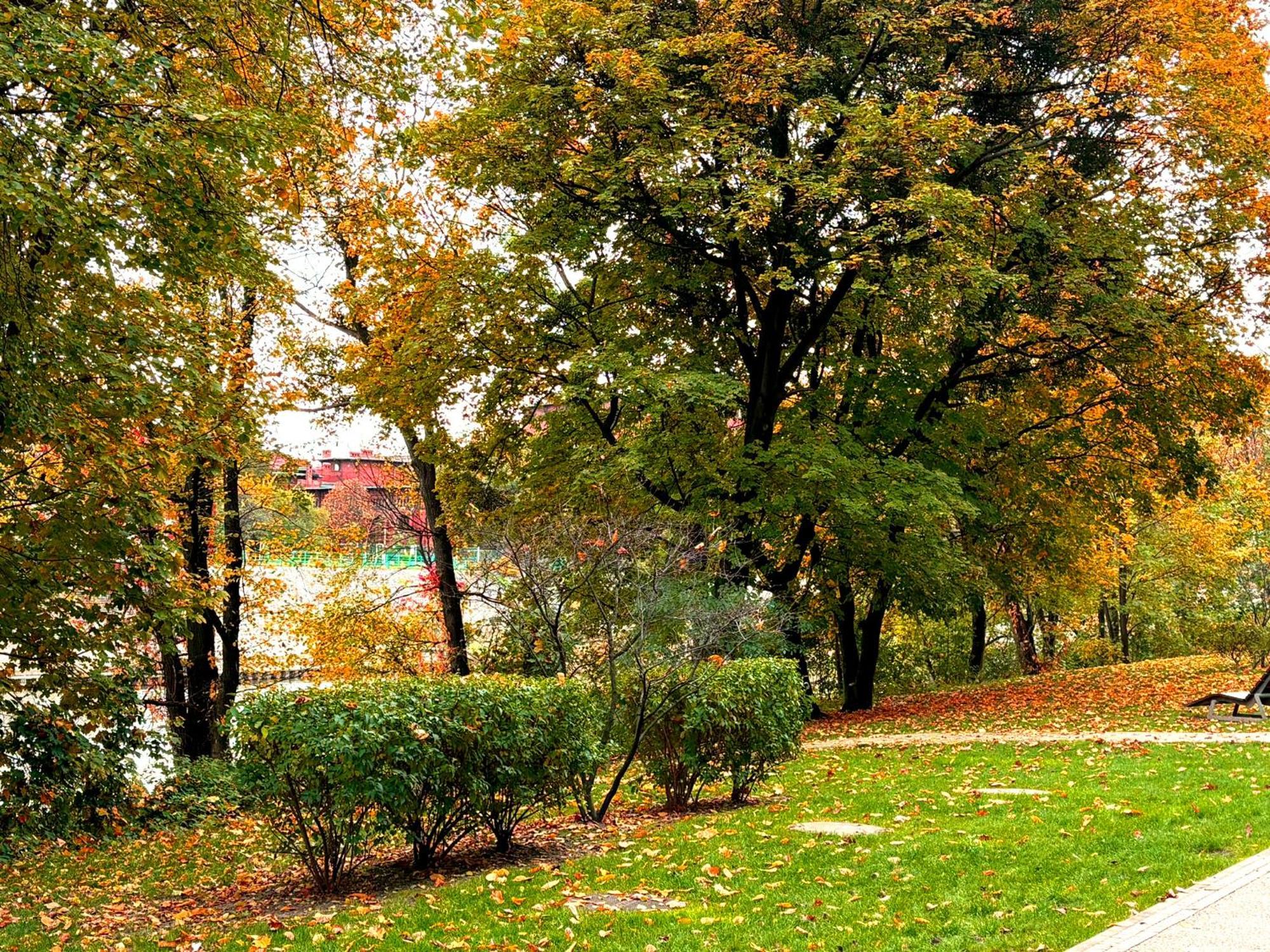 Prime Time Apartament - 24H Check -In - Parking W Cenie Вроцлав Экстерьер фото
